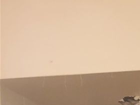 Bathroom's Demolition