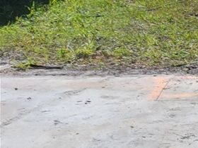 Pouring concrete